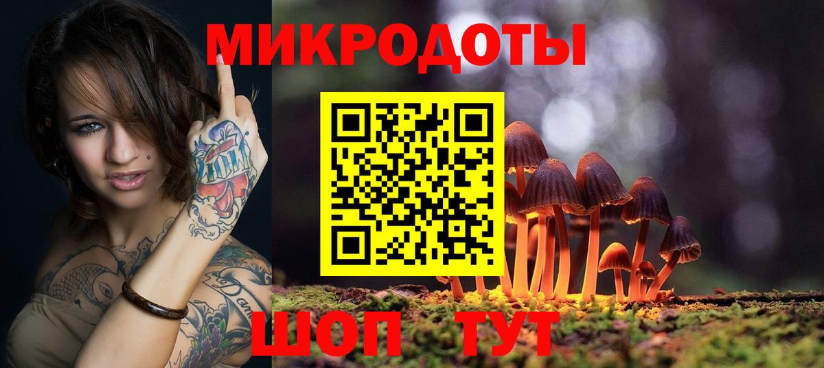 где продают   Галлюциногенные грибы GOLDEN TEACHER  Галлюциногенные грибы Psilocybine cubensis  Вход с VPN  Новоалтайск 